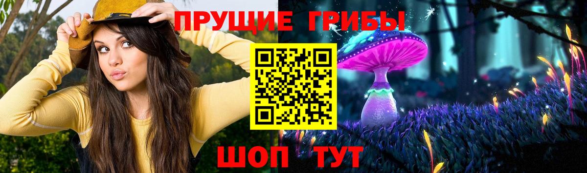 Евпатория  Галлюциногенные грибы прущие грибы  Вход с VPN  Галлюциногенные грибы Magic Shrooms 